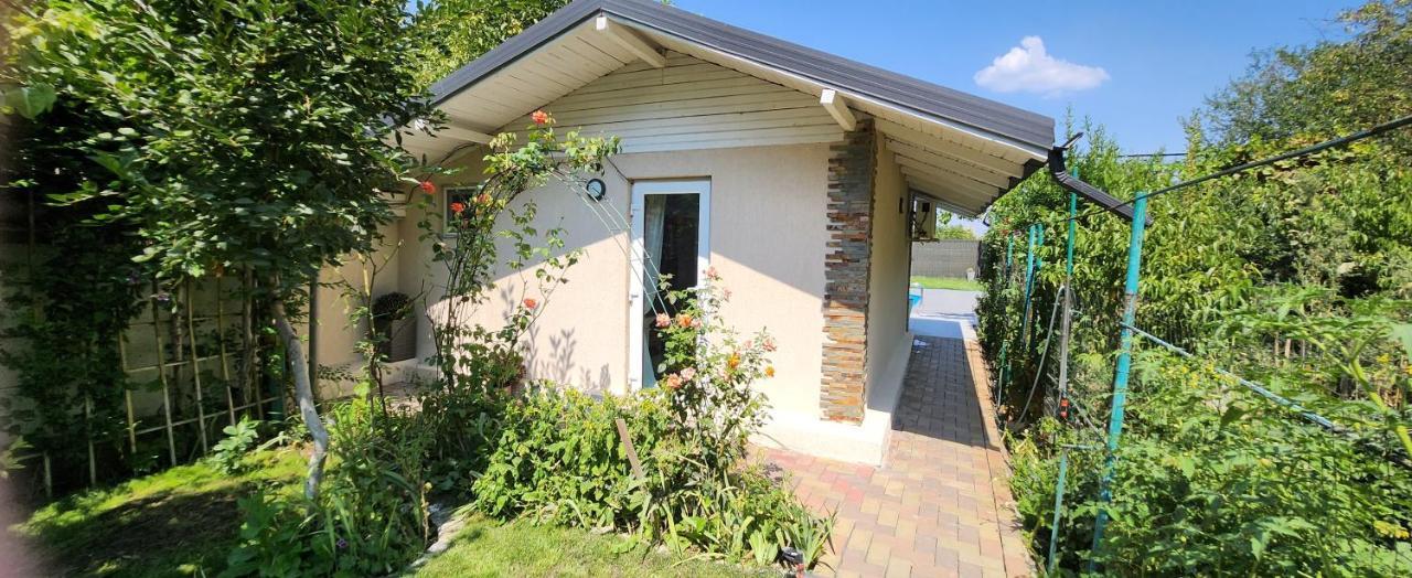 Morii Lake Pool Villa Bukareszt Zewnętrze zdjęcie