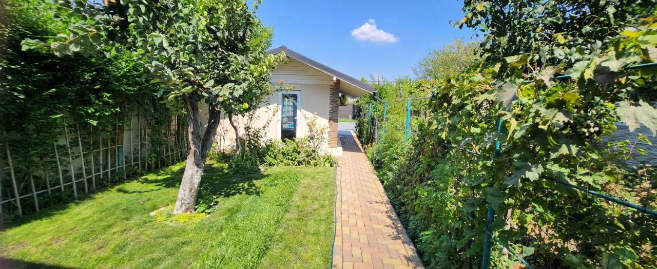 Morii Lake Pool Villa Bukareszt Zewnętrze zdjęcie